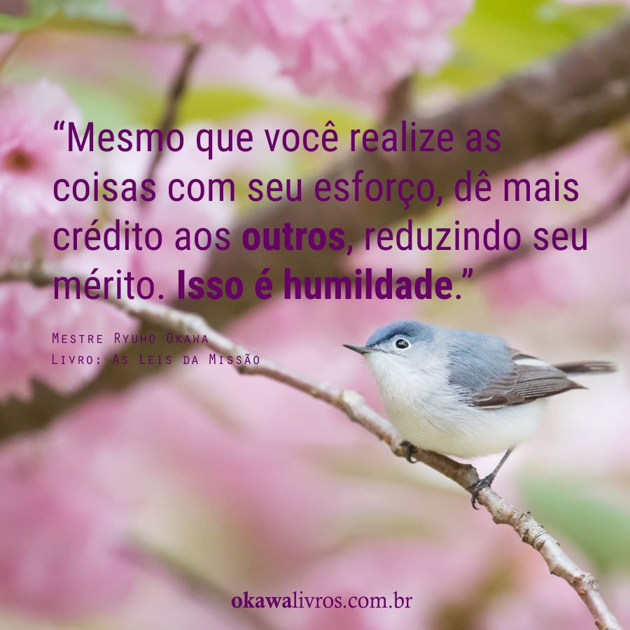 Book, The Laws of Mission- Essential Truths For Spiritual Awakening in a Secular Age, Ryuho Okawa, Portuguese - IRH Press International